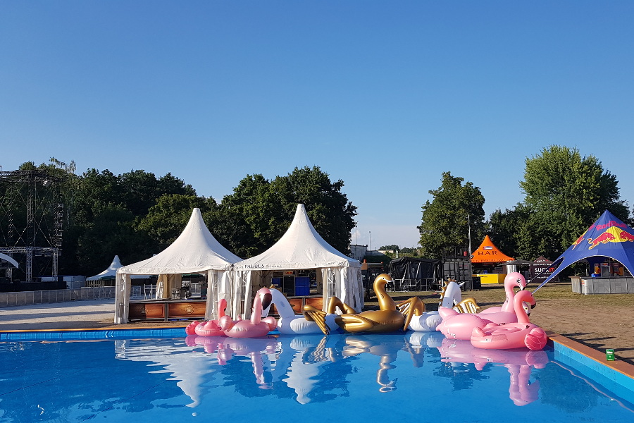 Ansicht Pool mit Flamingos und Schwaenen