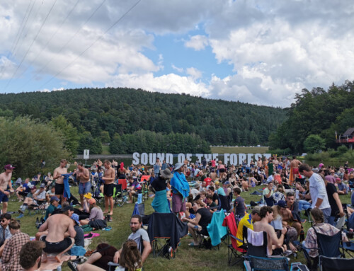 Sound of the Forest Festival 2023
